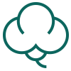 Sustainability: Organic Cotton