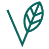 Nachhaltigkeit: Vegan
