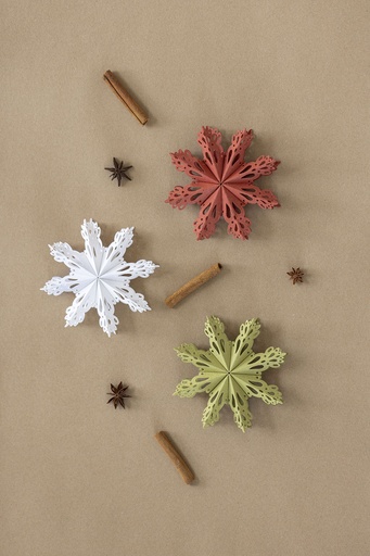 Papieranhänger RED STAR