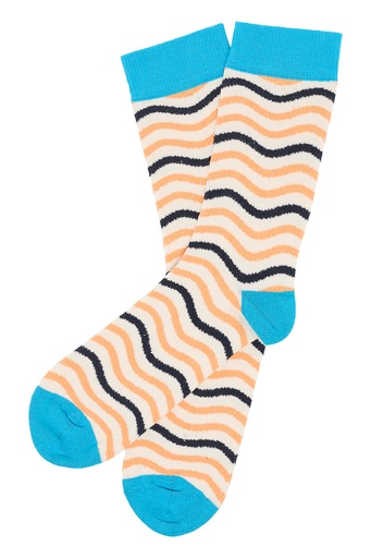 [S24ACS02] Socks with summer print